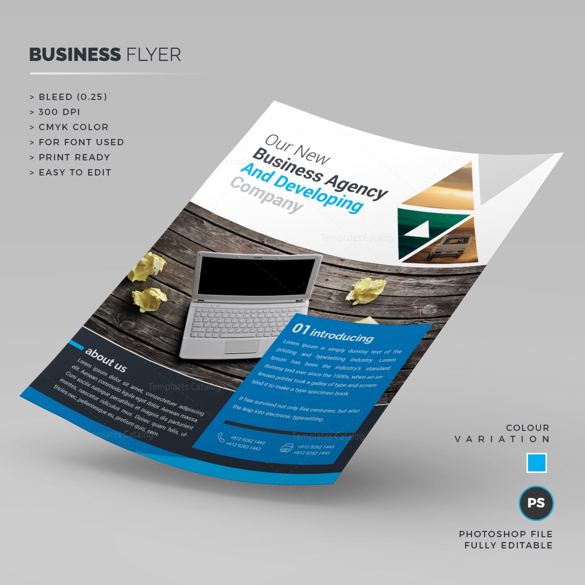 Sleek Corporate Flyer Template 1 Template Catalog