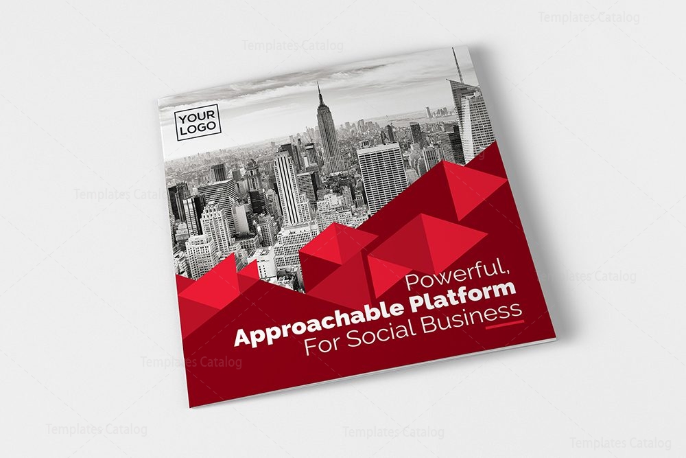 business trifold
