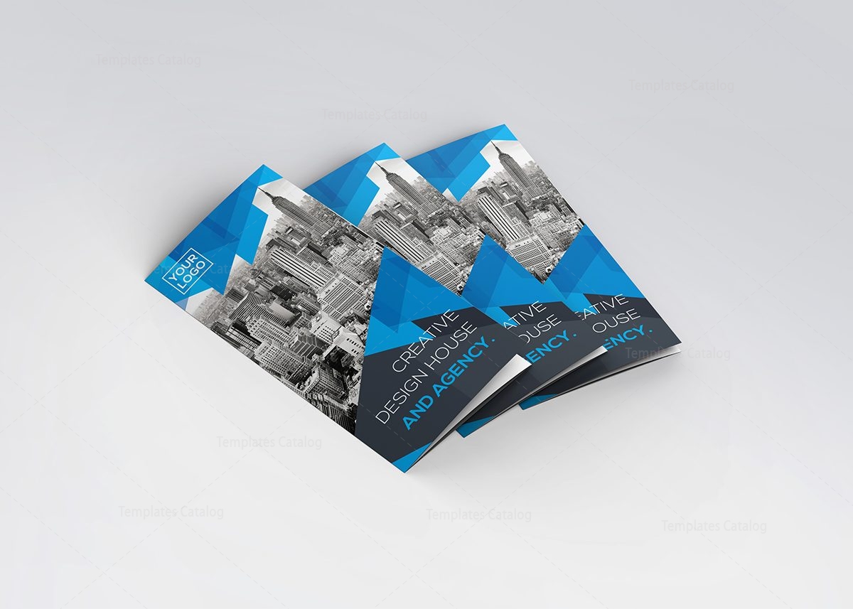 blue trifold