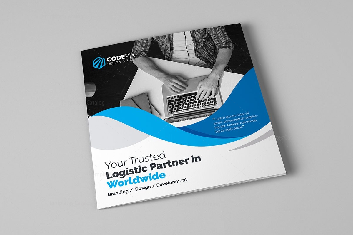 brochure 3 fold template