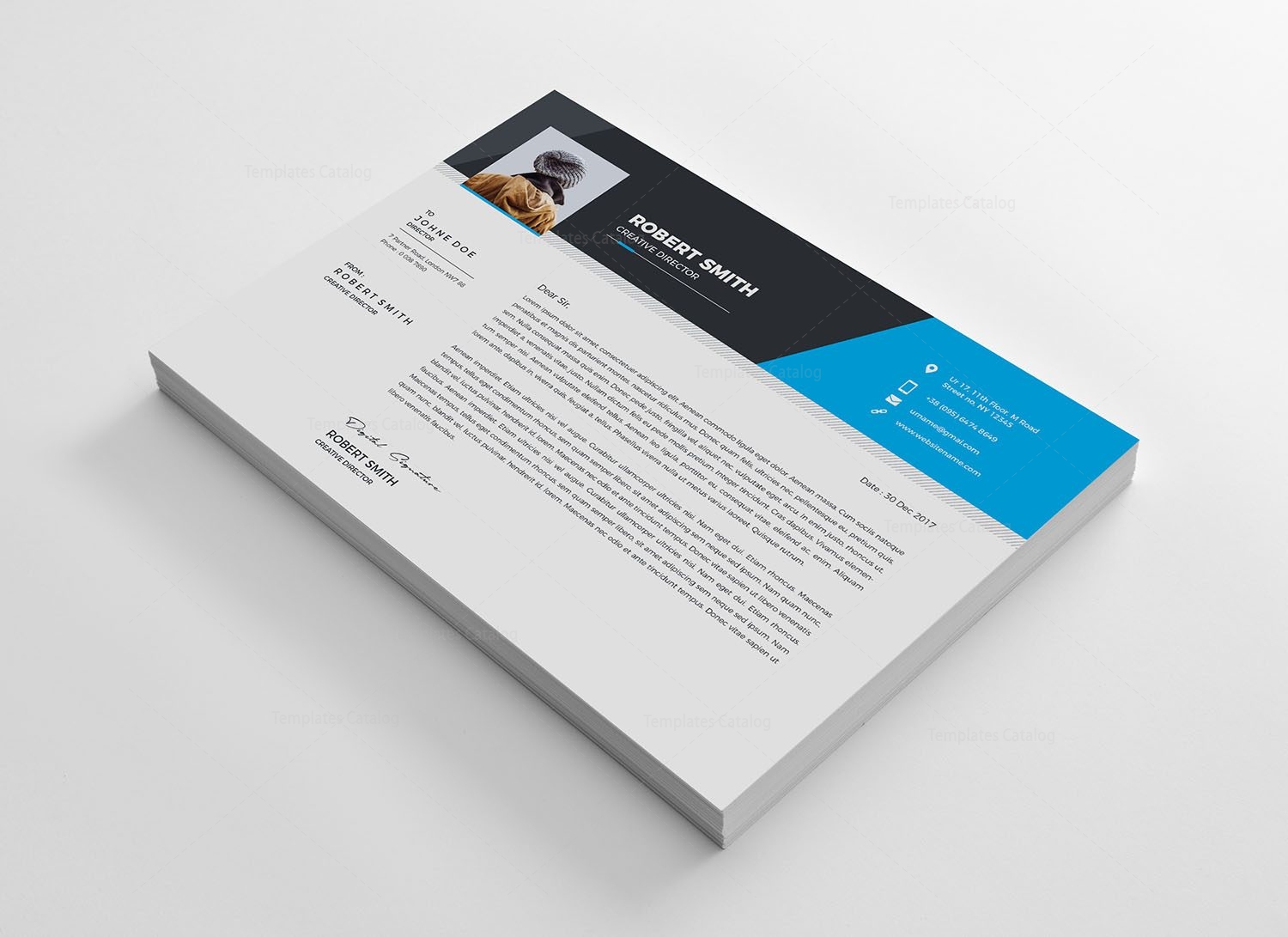 premium resume templates stunning premium resume template 000705 template catalog premium resume templates stunning premium resume template 000705 template catalog