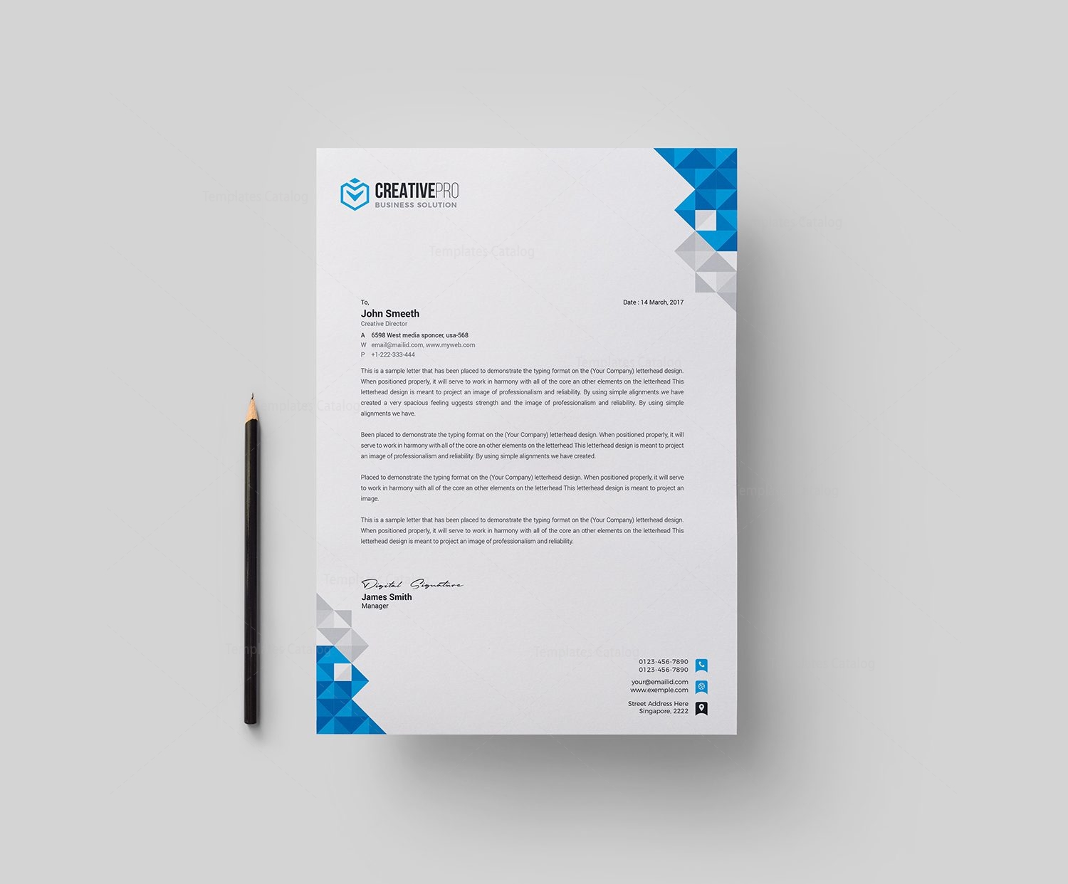 format of letter head of professional