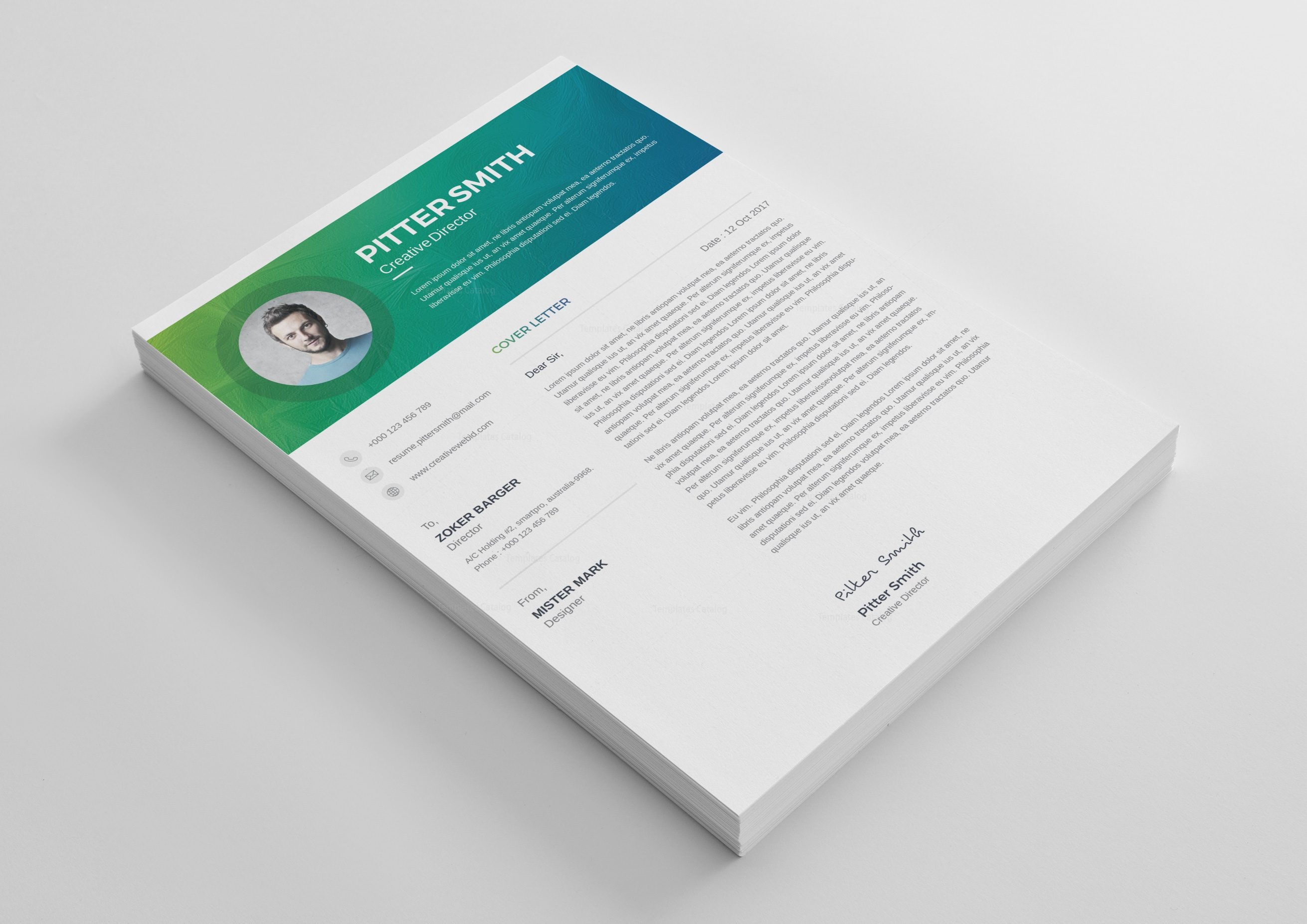 premium resume templates hera premium professional resume template 001269 premium resume templates hera premium professional resume template 001269