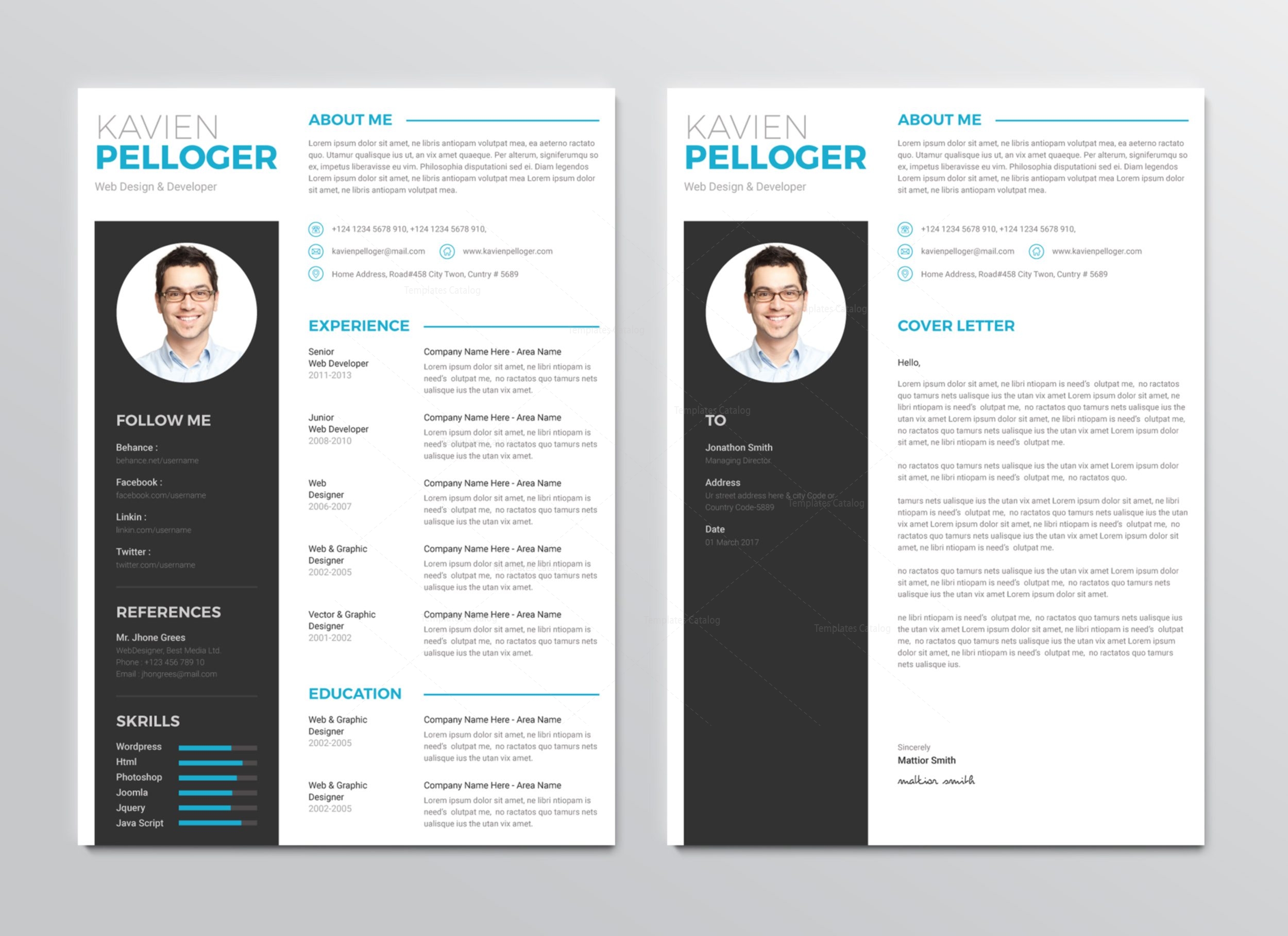 professional resume template premium resumes