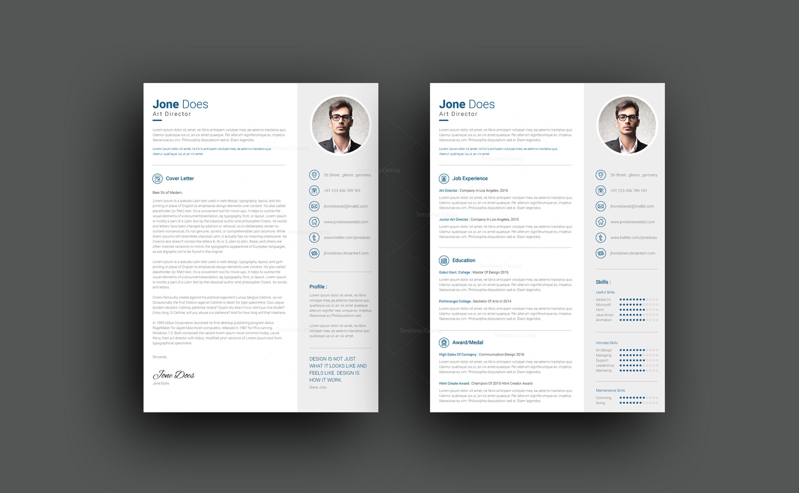 professional resume template premium resumes