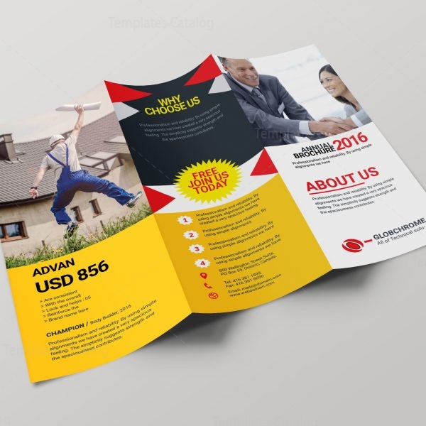 tri brochure