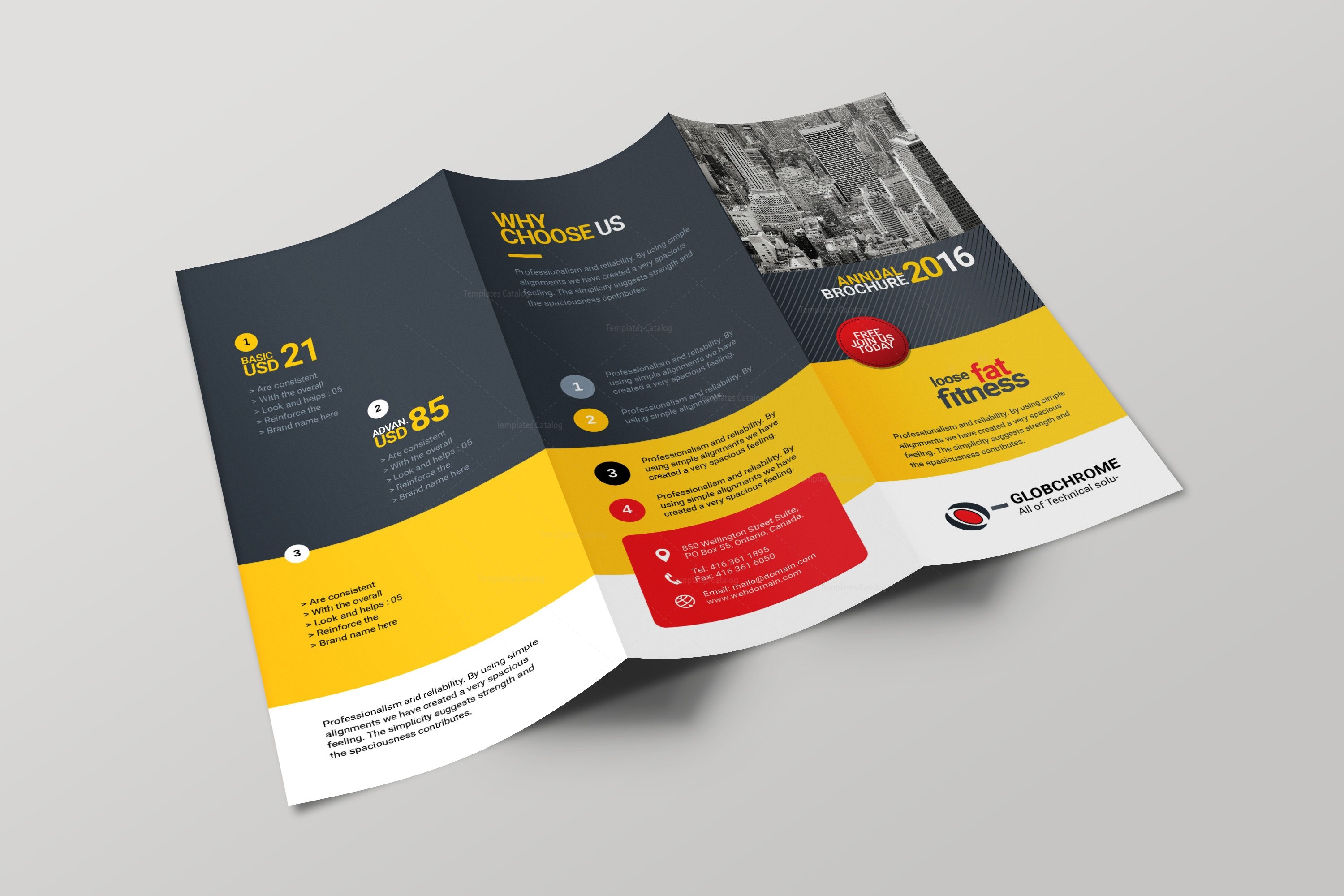 Lexington Corporate Creative Tri-fold Brochure 001703 - Template Catalog