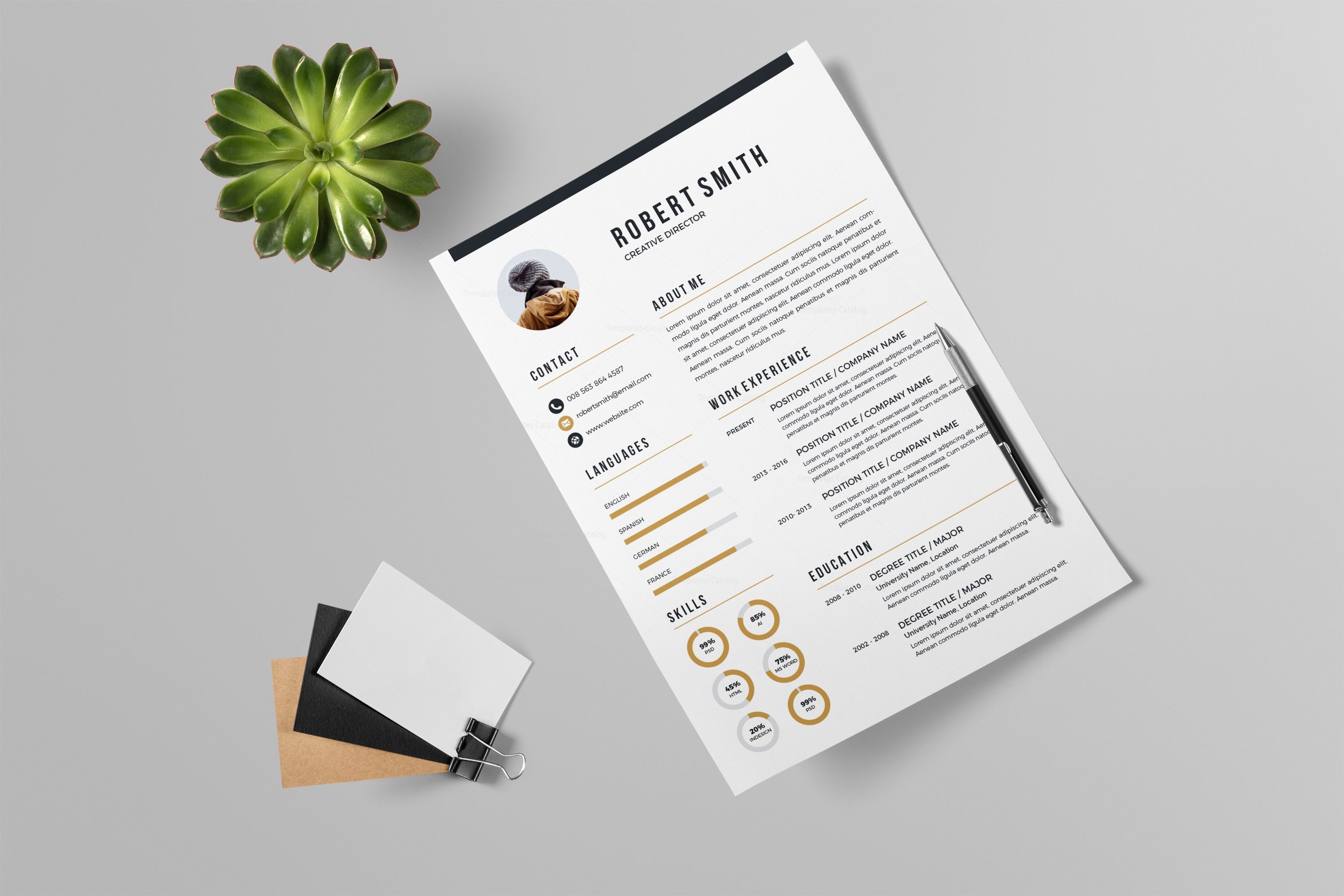 Professional resume writing services phoenix