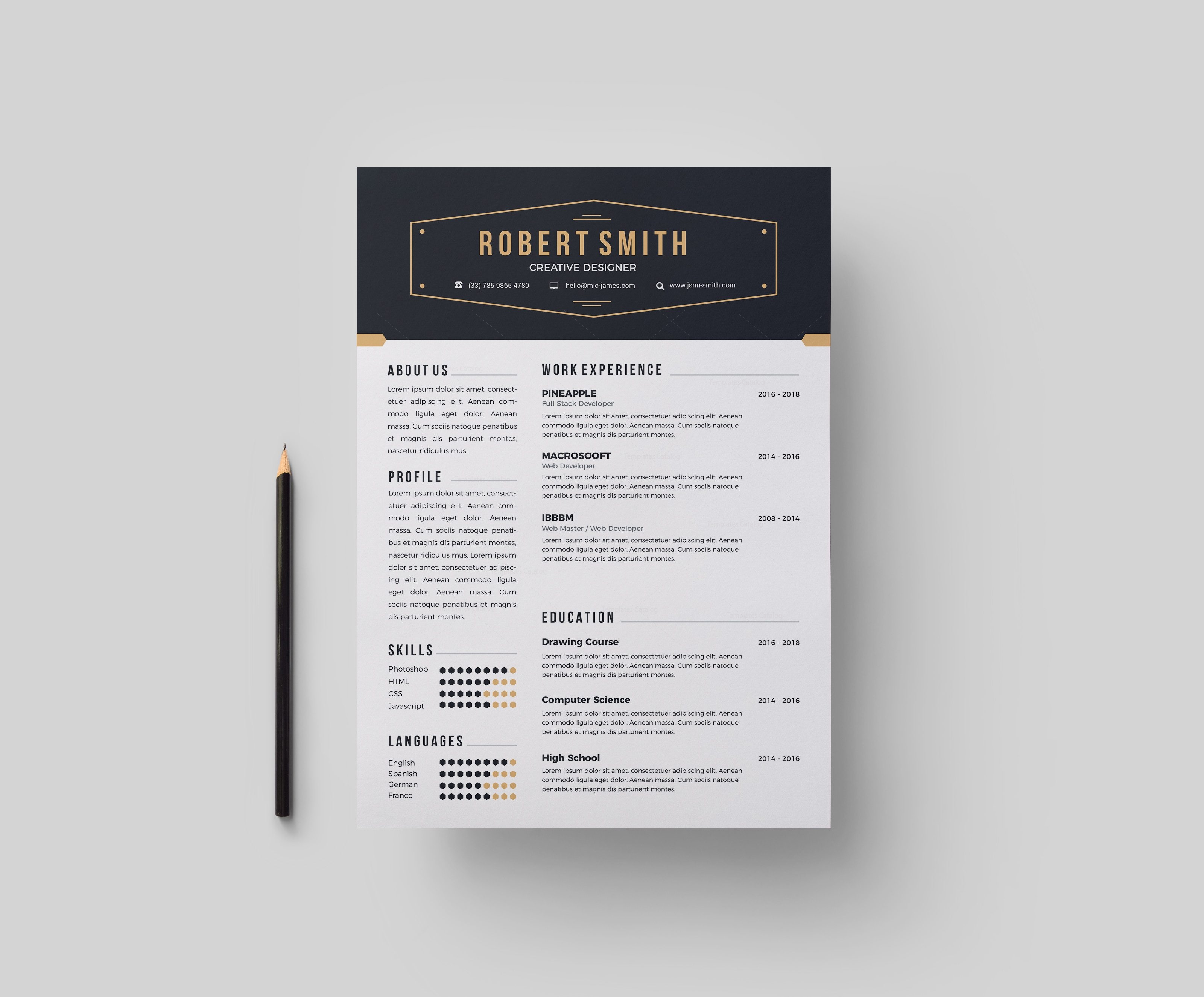 Professional resume services online sydney